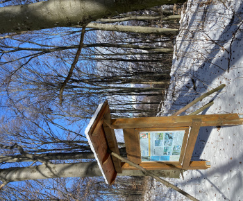 Krásy našej obce / Zima na Náučnom chodníku Turecká - foto