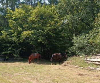 Výstup na Tureckú 2025